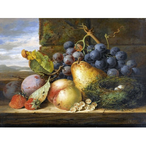 Still life of pears and grapes Accent Tile Mural Kitchen Bathroom Backsplash 8x6 