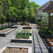Contemporary  front yard