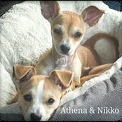 Dean Yanchulis's photo