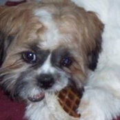 Diane Allerton's photo