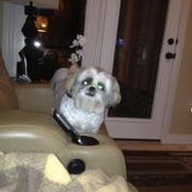 Mervy Duncan's photo