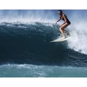 Nanci Boutet's photo