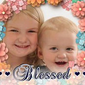 Foto von Amanda Hollifield