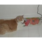 Nancy Rudolph's photo