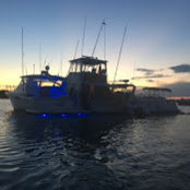 Ryan Hemingway's photo