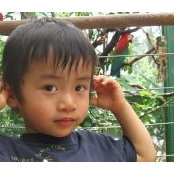 Teresa Yeh's photo