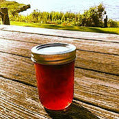 Peconic River Preserves's photo
