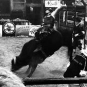 Gavin Pehl's photo
