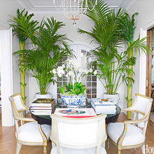 House plants