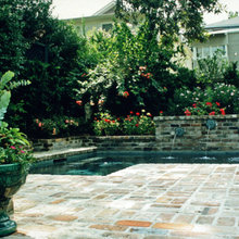 Cox Backyard
