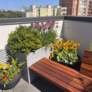 Williamsburg Roof Garden