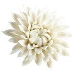 Cyan - Cyan Medium Blossoming Spring Wall Decor 09113, Off White Glaze - This Medium Blossoming Spring Wall Decor from Cyan has a finish of Off White Glaze and fits in well with any Transitional style decor.