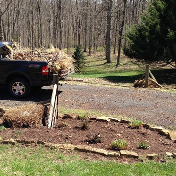 Spring Clean-up