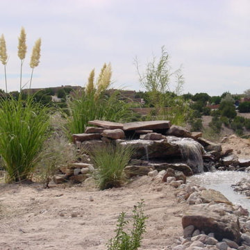 Ponds & Water Gardens