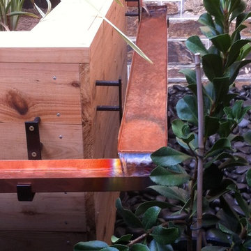 Healing Courtyard Project