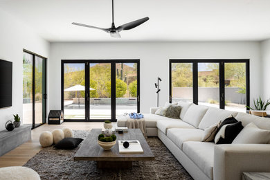 Living room - scandinavian living room idea in Phoenix