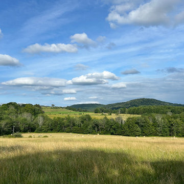 Ecotone Land