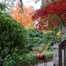 Garden & Outdoors
