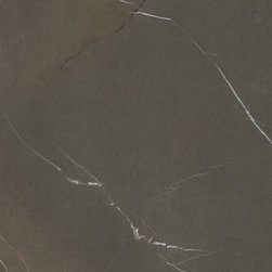 Pietra Piasentina Taupe In-Side Collection - Kitchen Countertops
