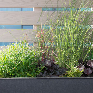 U Street Roof Deck