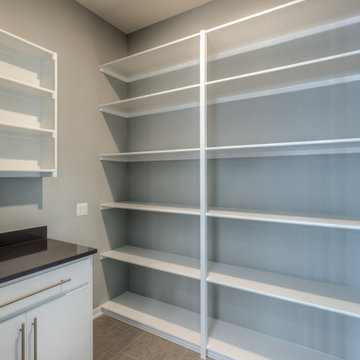 Custom 1.5-story modern w/ 21' Ceilings
