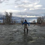 Gavin Feek's photo
