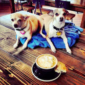 Hidden Grounds Coffee Roasters's photo