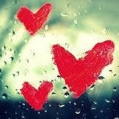 Lynne Van Der Kamp's photo