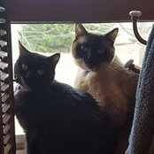 Foto di Malinda Easterberg