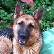 Winky Newman's photo
