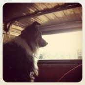 Foto von Braden Buchanan