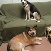 Deborah L Palmeri's photo