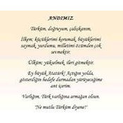 TC Zuhal İnsels foto