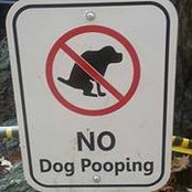 Sean Parrott's photo
