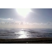 Michael Avella's photo