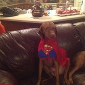 Penny Holycross's photo