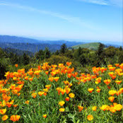 Diane Moncrieffさんの写真