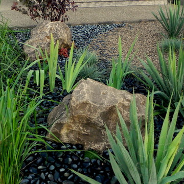 Ancaster Xeriscape