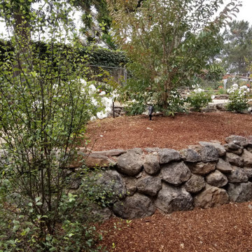 Washington Ct, Richmond | Hardscape & Landscape Build