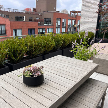 Williamsburg new terrace