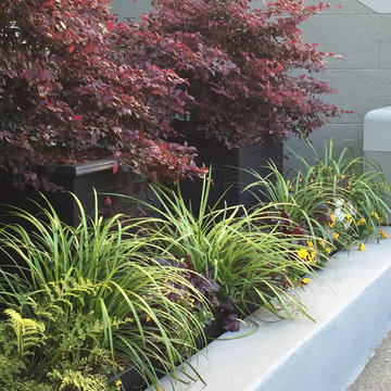 Container Gardening