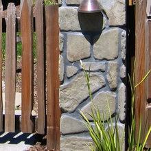 Backyard Lighting