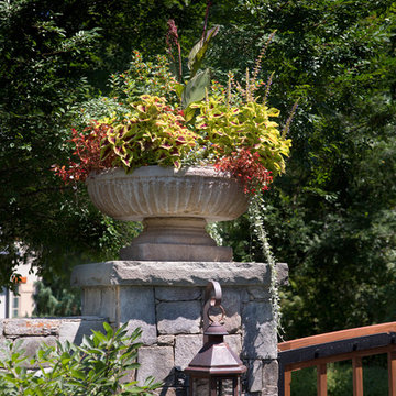 Vibrant Surroundings