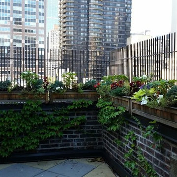 Rooftop garden specialists NYC