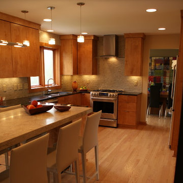 Mendota Heights Modern
