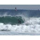 Reinaldo Schiavinato's photo