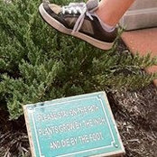 Ryan Duda's photo