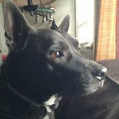 Lillian Andrews's photo