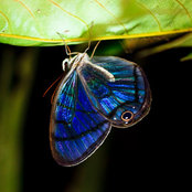 Carrie Cranwill's photo