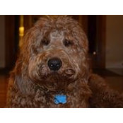 Susan Legget's photo